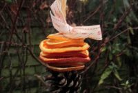 IMG_1452-e1417255736649 How to Make Dried Fruit Decorations