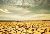 dry-land-1 Free photo Dry land Abandoned, Earth, Textured Free Download Jooinn